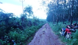 Xác người phụ nữ với nhiều vết đâm trên cơ thể trong rẫy cà phê